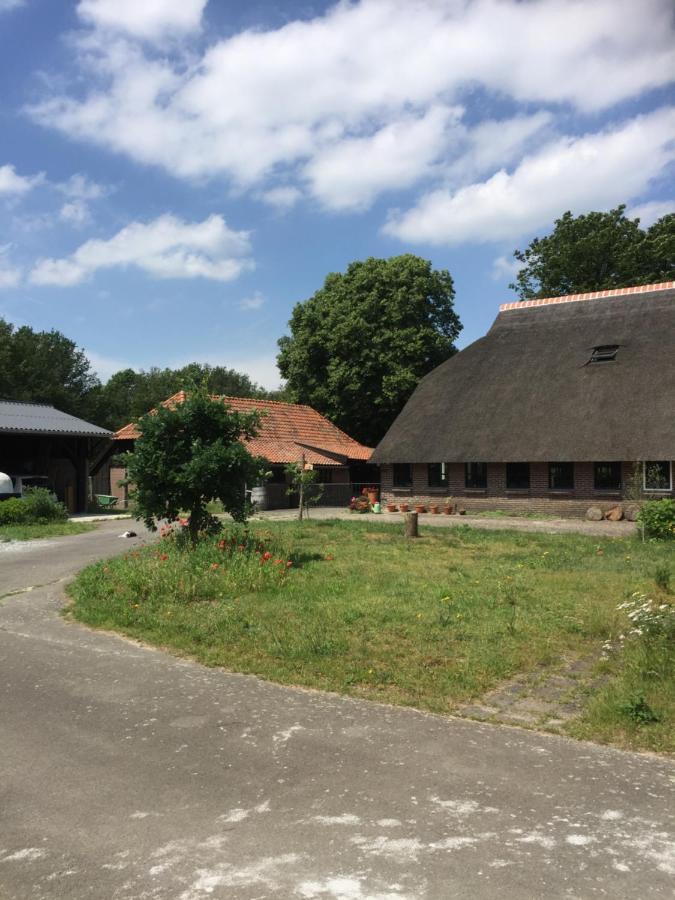 De Distelweide Bed & Breakfast Holsloot Exterior photo