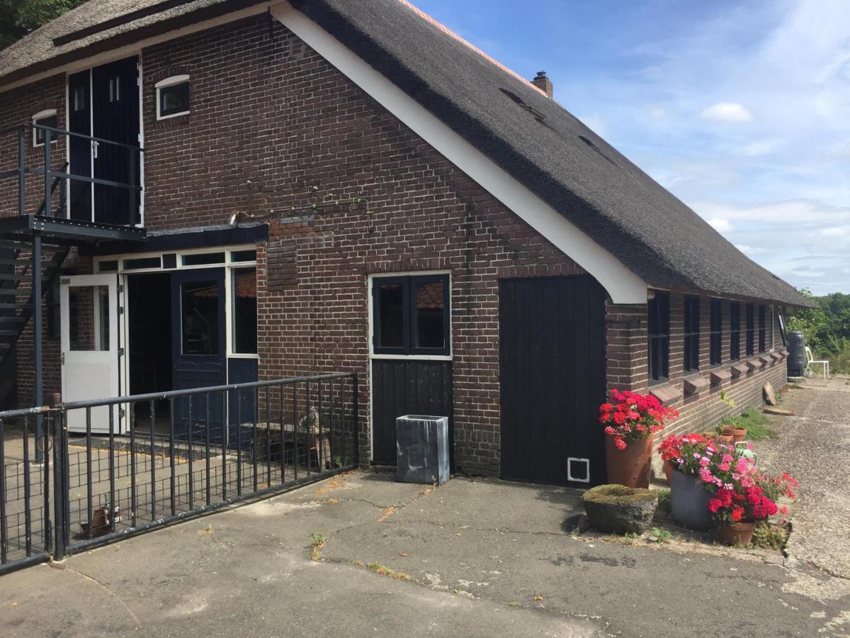 De Distelweide Bed & Breakfast Holsloot Exterior photo